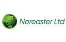 Noreaster